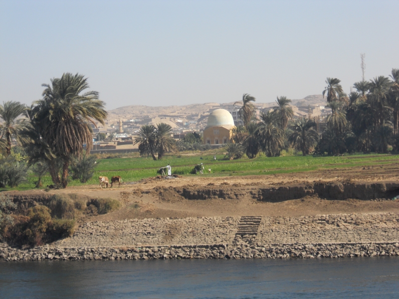 Aswan